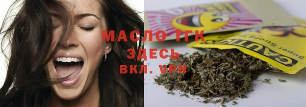 тгк Абаза