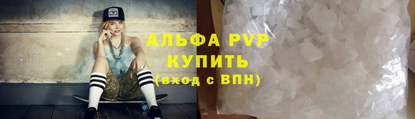apvp Каменка