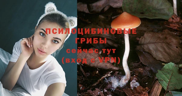тгк Абаза