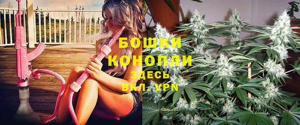 амф Абинск