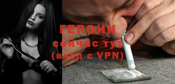 стаф Инта