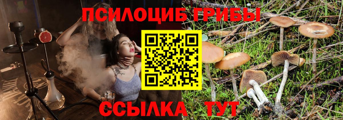 Галлюциногенные грибы мицелий Альметьевск