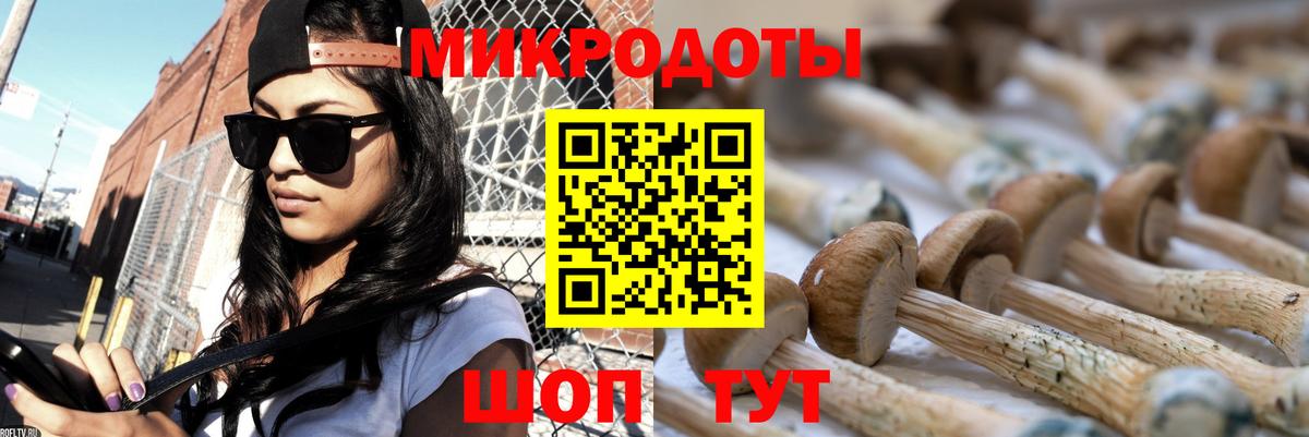 Галлюциногенные грибы Cubensis  Вход с VPN  Альметьевск  Галлюциногенные грибы мицелий 